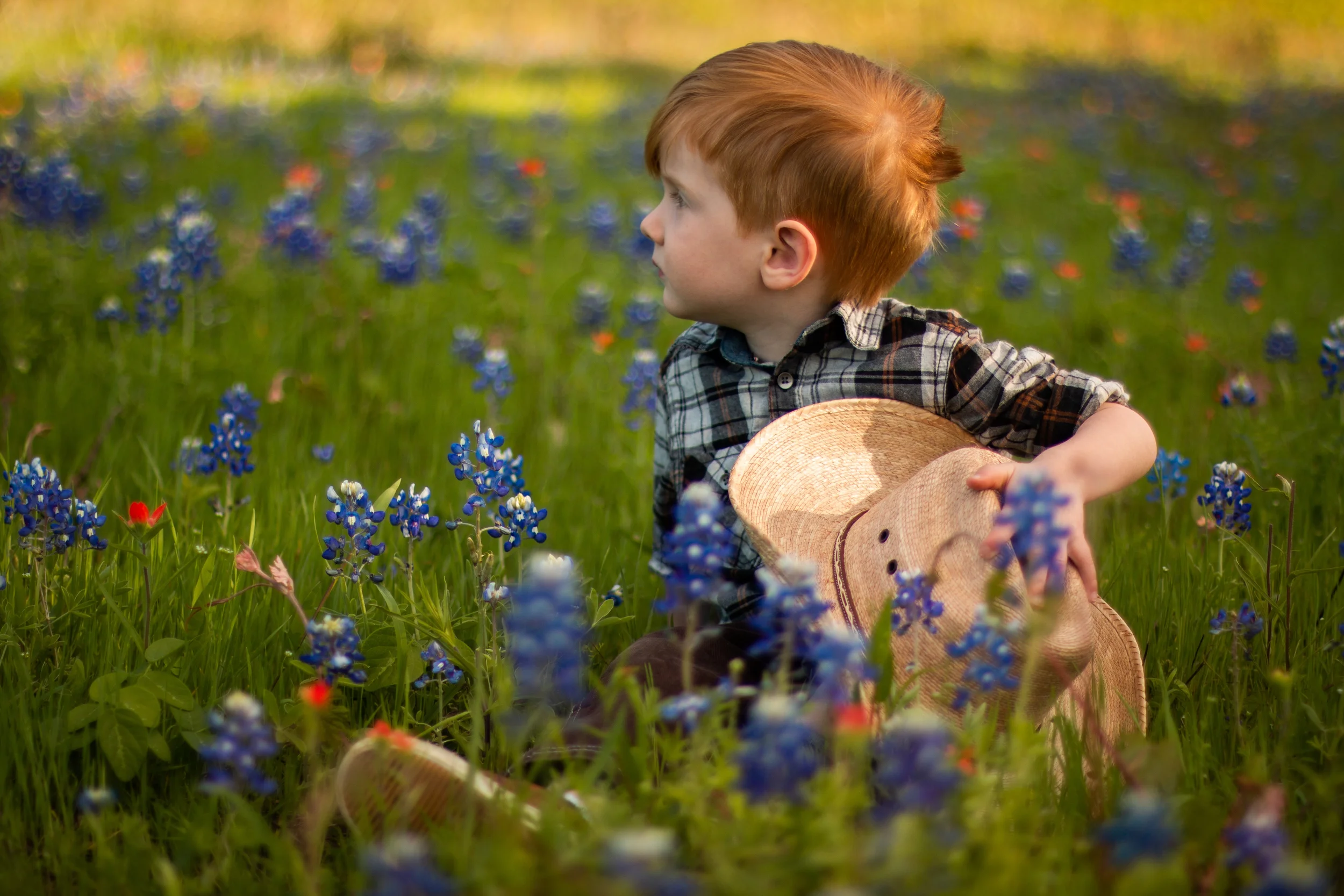 The Bluebonnet Festival